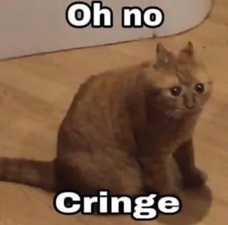 crying cat meme