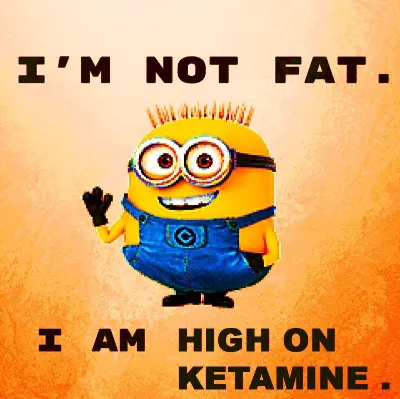 fat minion meme