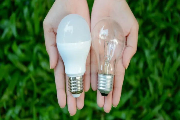 LED vs. Incandescent Lightbulbs: What Is the Difference?